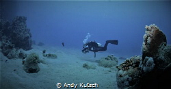 Diver on the reef by Andy Kutsch 